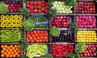Начало экспорта тепличной продукции Хаша на мировые рынки