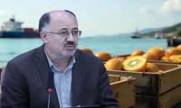 Экспорт цитрусовых из Мазандарана превысил 44 тысячи тонн