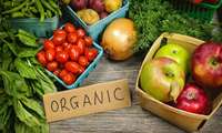 Иран занимает 79-е место в мире по производству органической продукции
