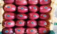 Иран экспортировал яблок и продуктов их переработки на 300 миллионов долларов
