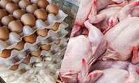 Иран входит в десятку мировых лидеров по производству мяса птицы и куриных яиц
