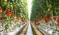Сотрудничество Ирана и Кыргызстана для производства органической продукции и выхода на рынок Европы