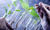 Восьмая Международная выставка iFarm в Тегеране