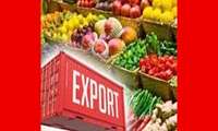 Развитие экспорта сельхозпродукции Тегерана с экспортным терминалом в Пакдашт