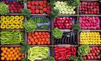Экспорт тепличной продукции из провинции Лорестан в страны Евразии продолжается несмотря на кризисные условия