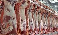 В Иране произведено 18 млн тонн продукции животного происхождения