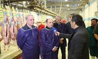 Производство и поставки красного мяса в Иране осуществляются без перебоев