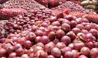 Иран экспортировал 8,3 тыс. тонн лука из провинции Фарс в Турцию поставки продукции продолжатся до конца сентября.
