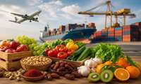 Экспорт сельскохозяйственной продукции Северного Хорасана на зарубежные рынки