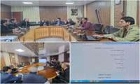 В Иране представлено программное обеспечение для расчёта нормы высева сельскохозяйственных культур