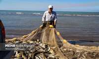 Производство аквакультуры в Иране достигло 1,5 млн тонн