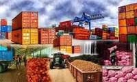 Экспорт 680 тысяч тонн сельхозпродукции из Хормозгана на мировые рынки