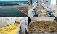 В Иране введено в эксплуатацию новое предприятие по переработке рыбной продукции