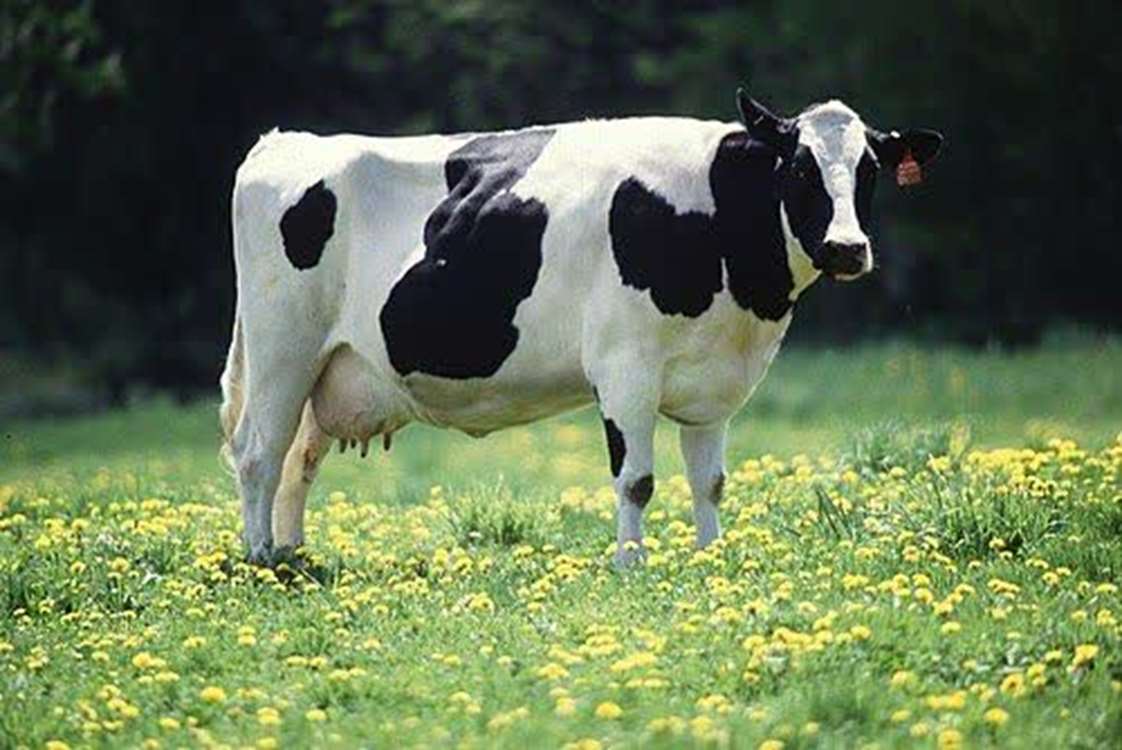 207 
