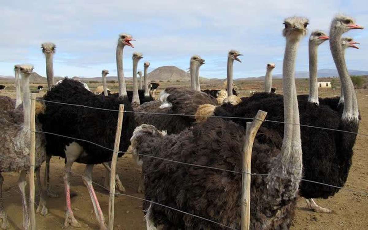 182 