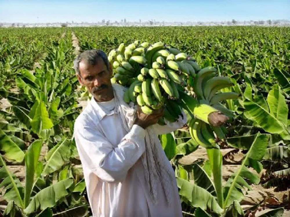 189 