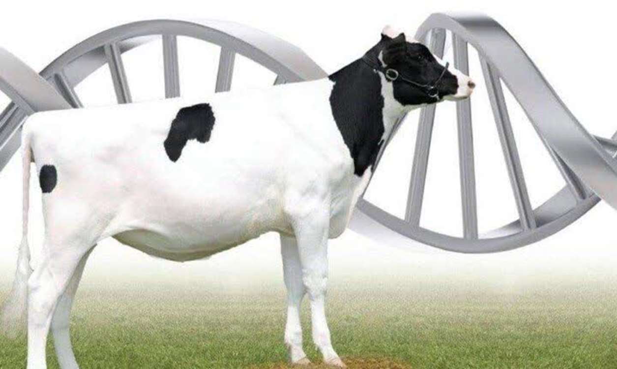 77 