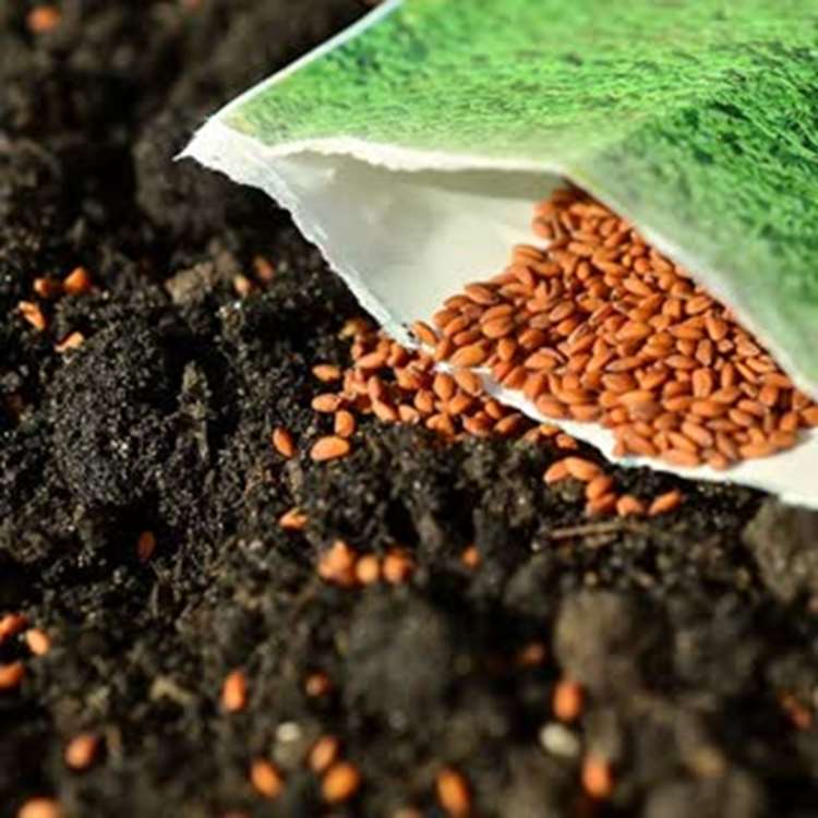 115 